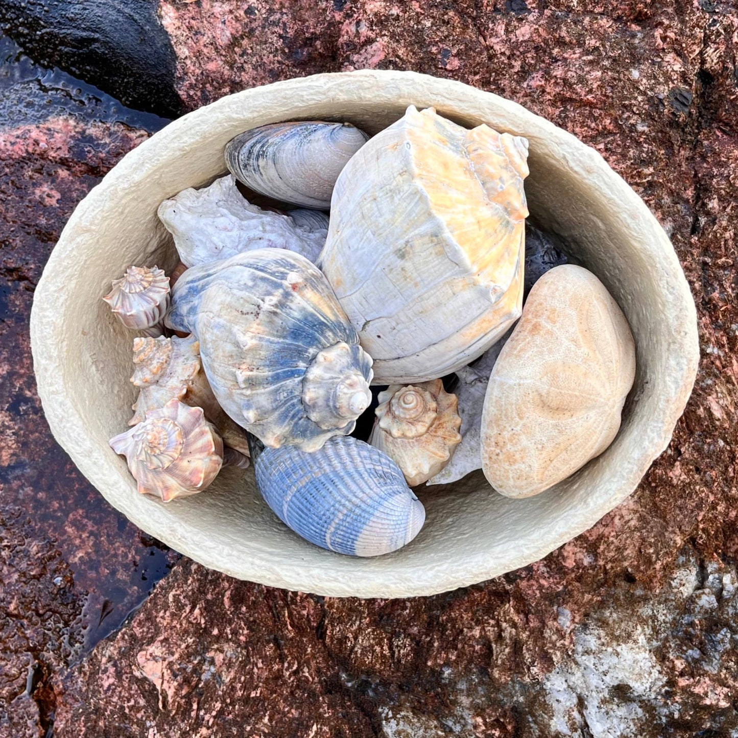 NOVA Large Bowl - Paper Mache ~ SOLD OUT ~ these beauties went quick!