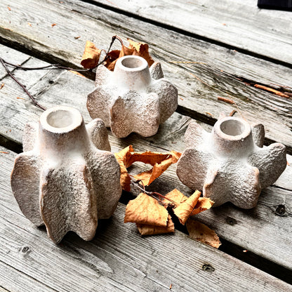 SEA STAR CANDLE HOLDERS